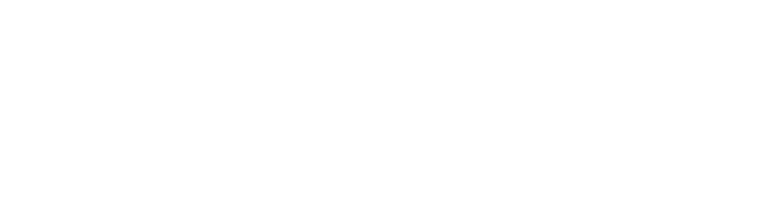logo light